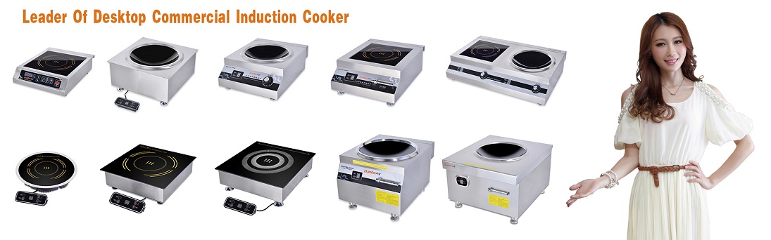 Commercial Induction Cooker Banner 2