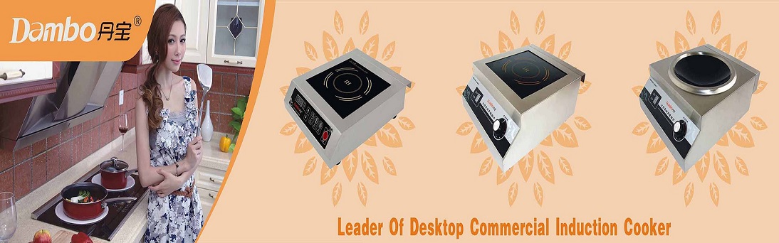 Commercial Induction Cooker 201701